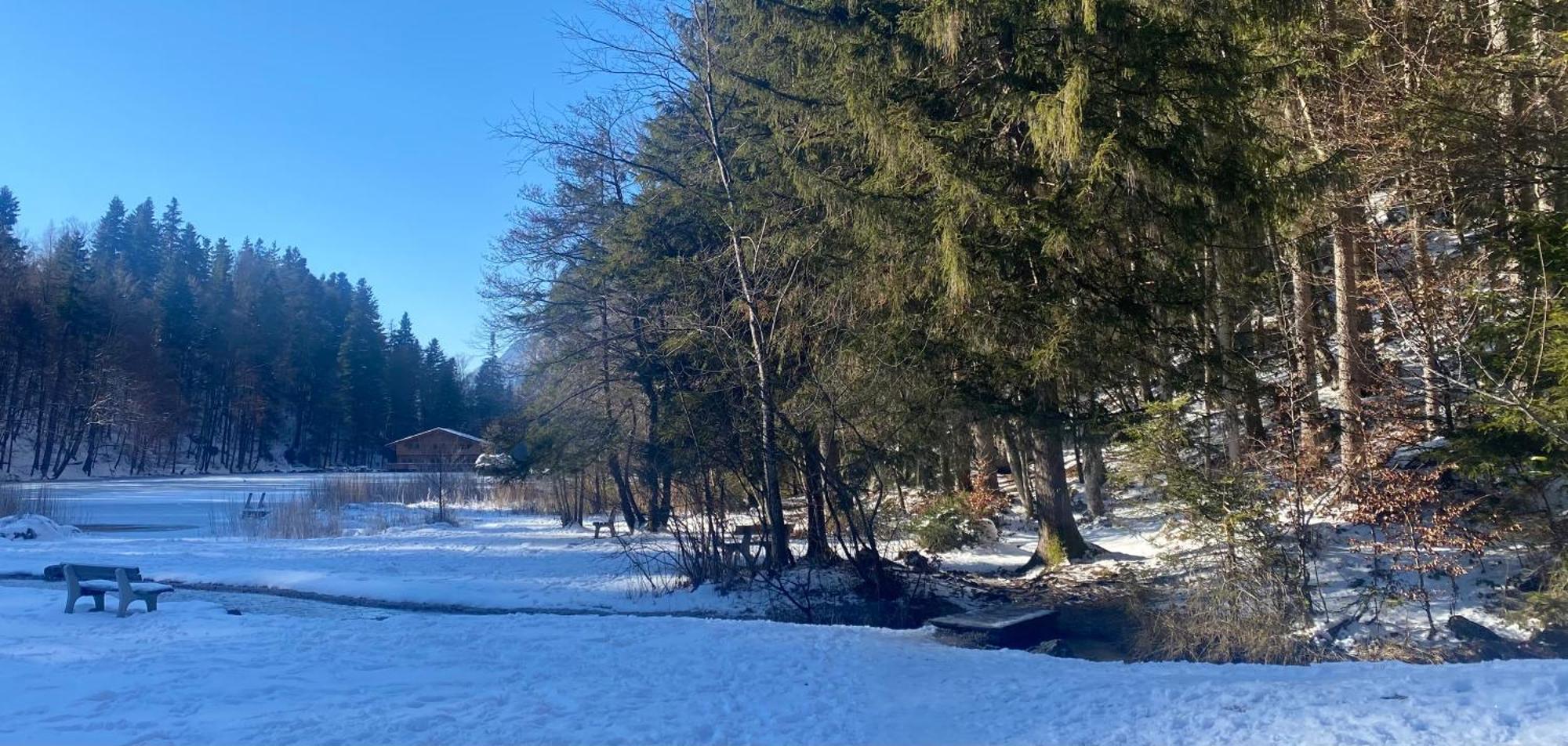 Apartament Haus Hislop Inneralpbach Zewnętrze zdjęcie